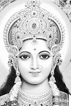 Mai-ism : Some of the specific distinguishing&nbsp;features