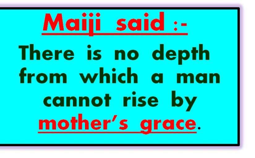 Come what may. Don’t leave Mother’s Lotus&nbsp;Feet.
