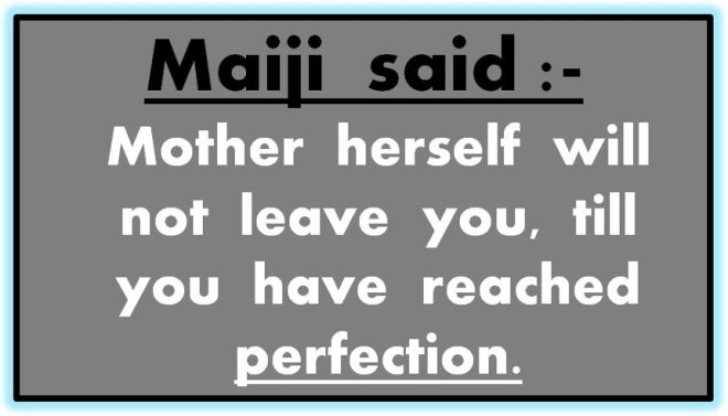 377720_518347671548724_1260384243_n